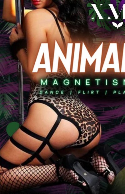 ANIMAL MAGNETISM